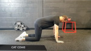Read more about the article 4 That Reduce Shoulder Pain