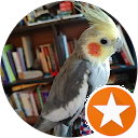 Aim Comperatore profile picture