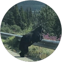 Nathan G profile picture