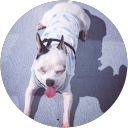 Jihwan profile picture