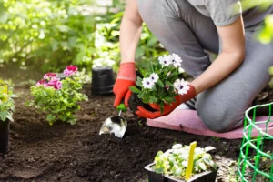 Read more about the article Spring Cleaning Injuries: Why Your Back Hurts After Yard Work
